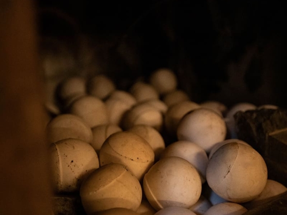 Березовая баня