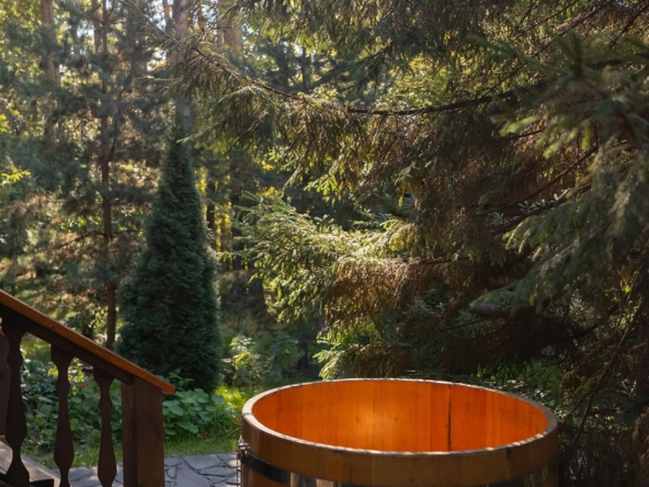 Домик охотника