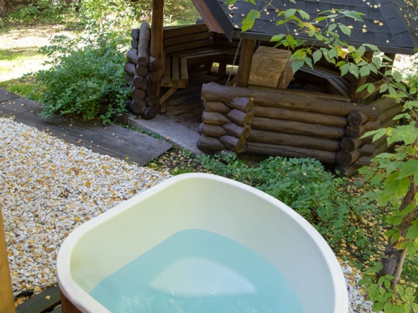 Березовая баня